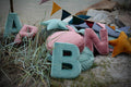 letter pillow b mint by bettys home on beach and sea behind