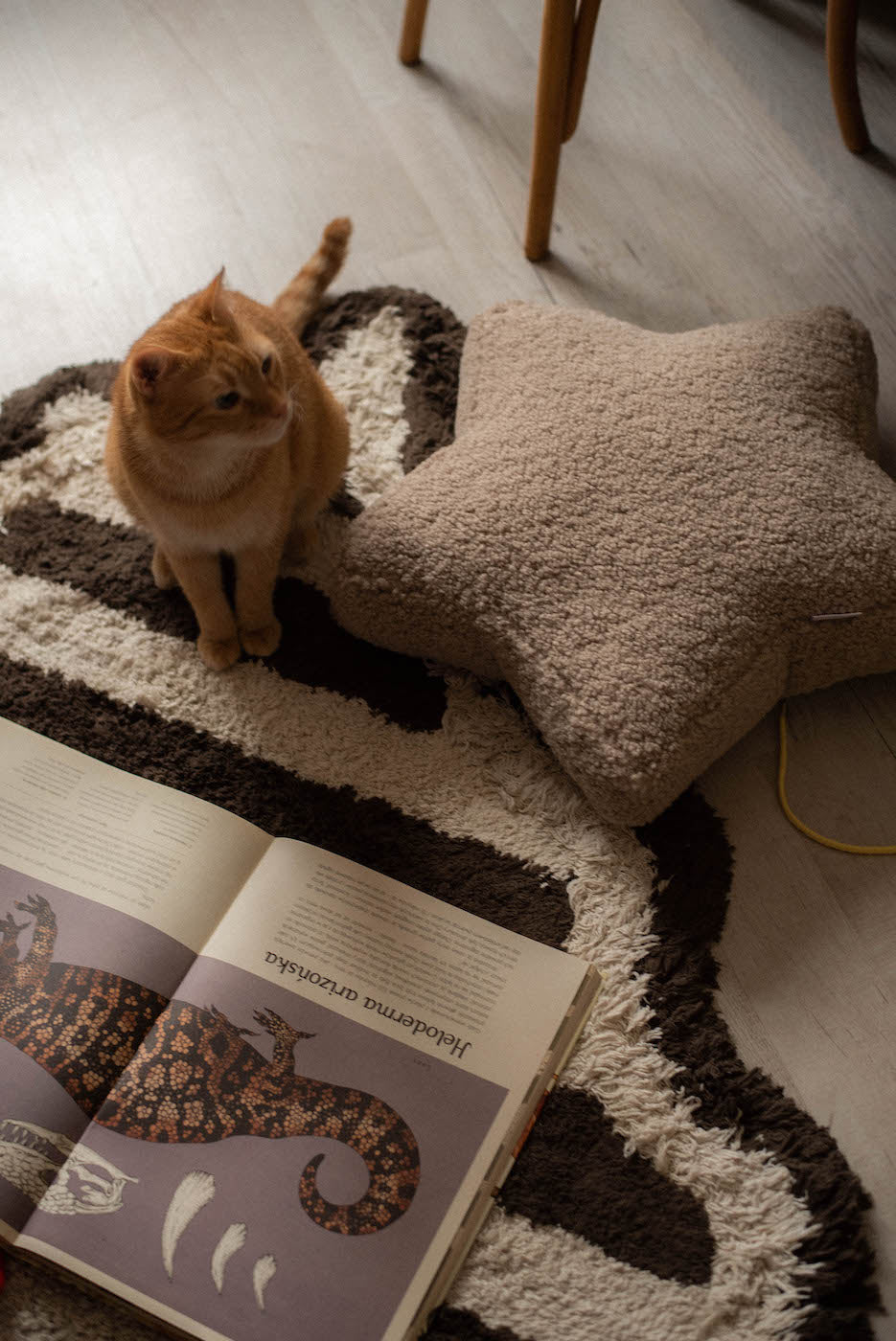 boucle star cushion mocha by bettys home. kids room deco idea. teddy cushion mocha