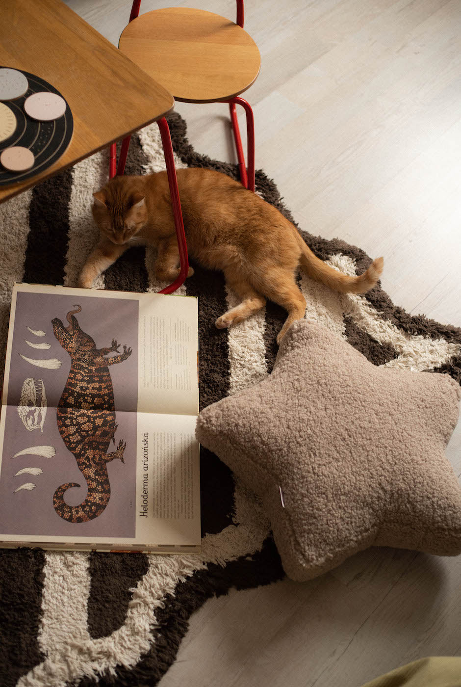 boucle star cushion mocha by bettys home. kids room deco idea. teddy cushion mocha