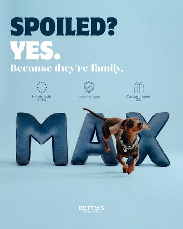 The Most Interesting Dog Gadgets Available on the Market